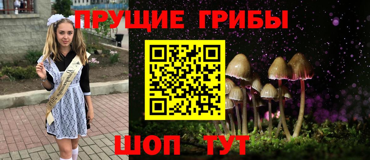 Галлюциногенные грибы прущие грибы  Вход с VPN  купить   Дербент 