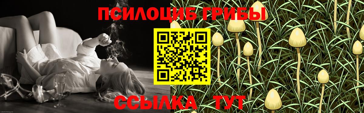 Псилоцибиновые грибы MAGIC MUSHROOMS Дербент
